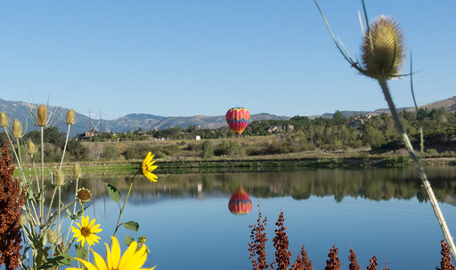 Balloon Festival and Flowers